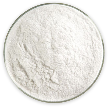 About Shree sulphamic Chemicals